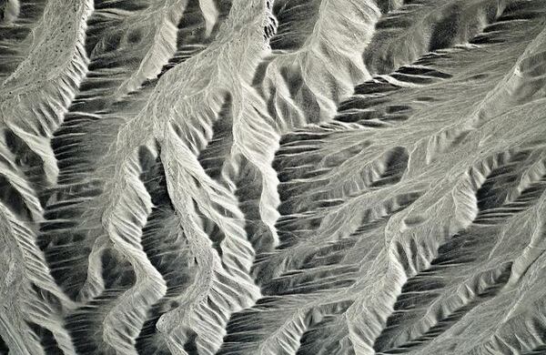 Cassio Vasconcellos Campos (São Paulo SP 1965) http://fotomuseo.org/fotografica_2013