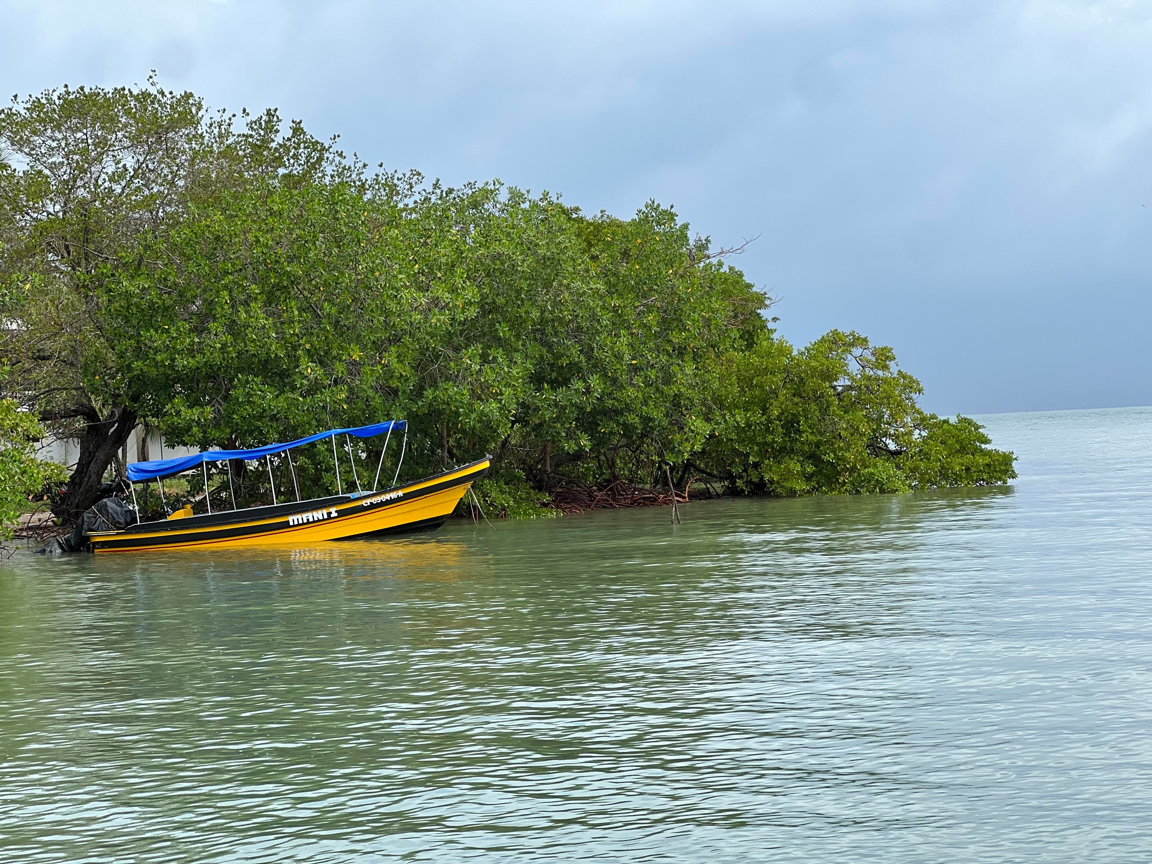 El mar en San Antero, Córdoba, a escasos metros de un lote de la exsenadora.