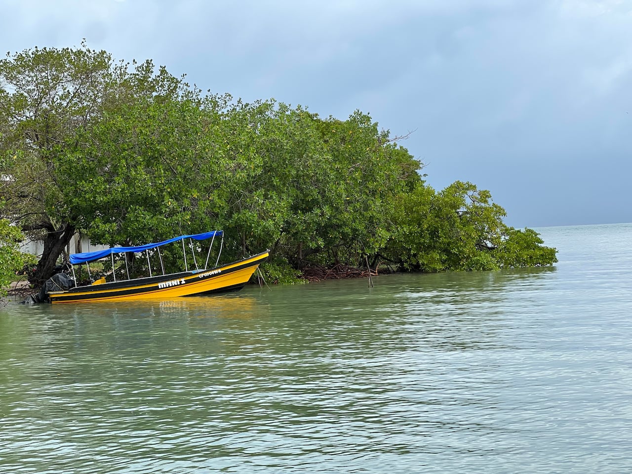 El mar en San Antero, Córdoba, a escasos metros de un lote de la exsenadora.