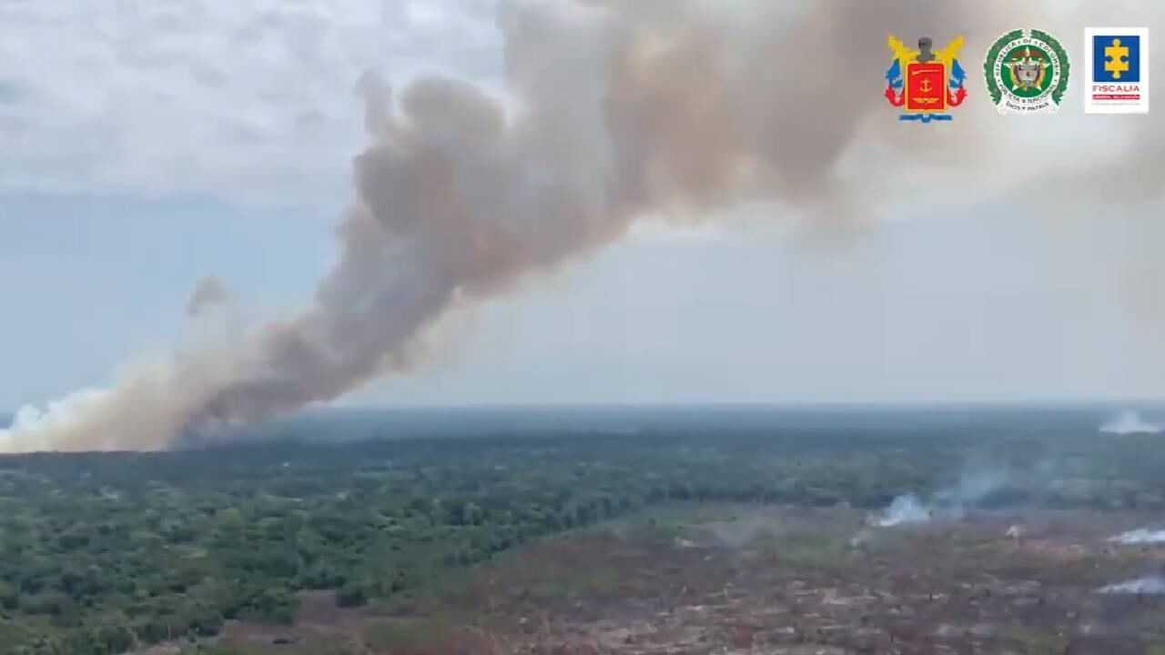 Imputan por primera vez en Colombia a cinco personas por un delito de deforestación de la Amazonía.