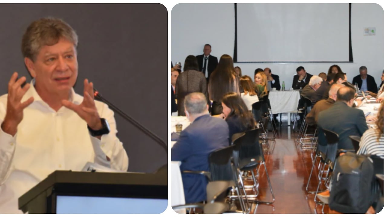 Andi propone fuerte recorte al presupuesto 2026