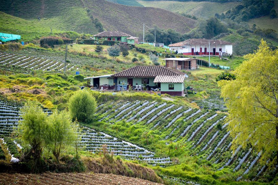 El Carmen de Viboral, Antioquia