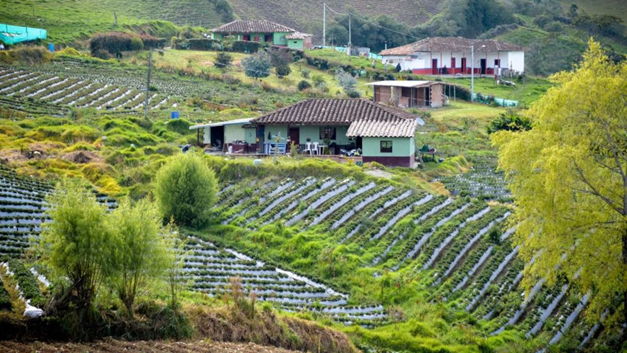 Ruta de turismo rural en El Carmen de Viboral, Antioquia