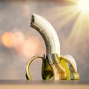 El banano es una fruta que ofrece versatilidad en la gastronomía.