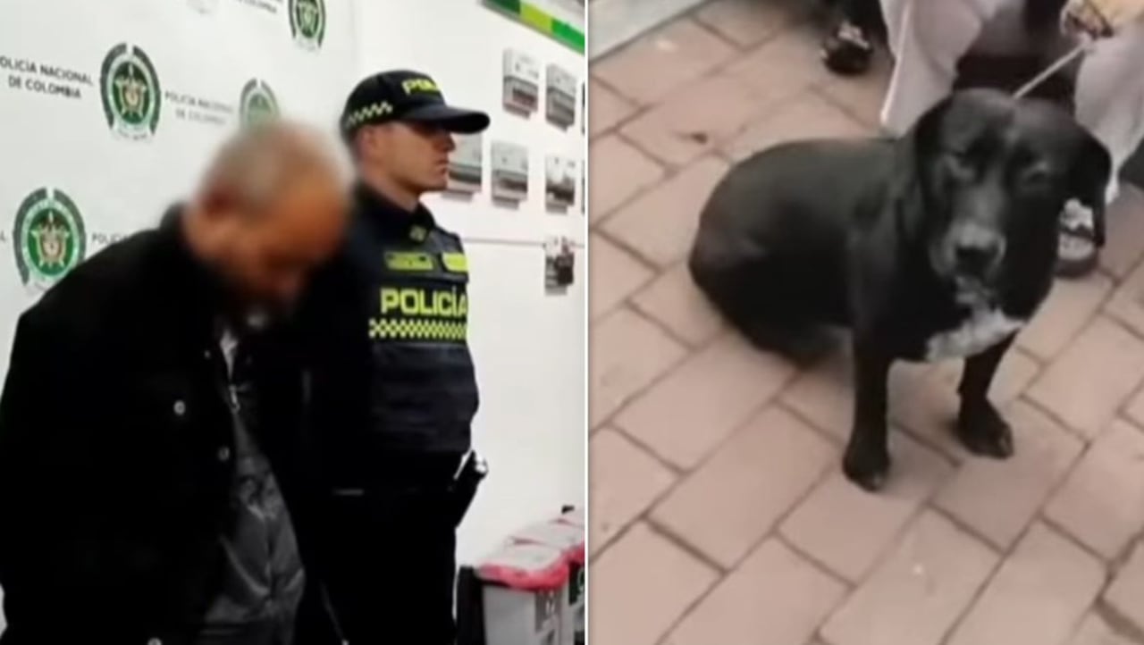 Bogotá conmocionada: Policía captura a presunto abusador de animales en Ciudad Bolívar