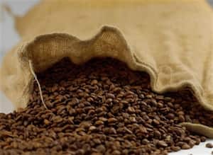 La exportación de cafes especiales superó las expectativas.