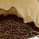 La exportación de cafes especiales superó las expectativas.