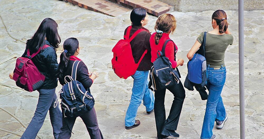 El virus del papiloma humano son grupos diversos de virus ADN pertenecientes a la familia de los Papillomaviridae. No poseen envoltura y tienen un diámetro aproximado de 52-55 nm. Representa una de las enfermedades de transmisión sexual más comunes. 