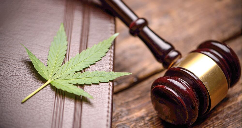  Esta semana, el ministro de Salud de Alemania, Karl Lauterbach, señaló que su país camina para que en 2024 el cannabis sea legal, pues, según argumenta, es necesario si se quiere poner fin a la lucha contra los delitos relacionados con las drogas.