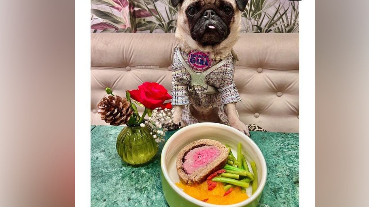 El restaurante Dogue ofrece menús de degustación para perros, desde 75 dólares.