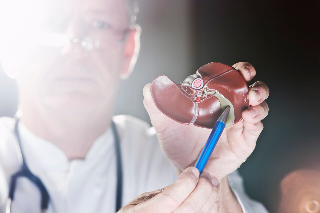 A medicine,pointing at a plastic model of a gall bladder. Image taken with Canon EOS 1 Ds Mark II and EF 70-200 mm USM L 2,8. XXL size image.