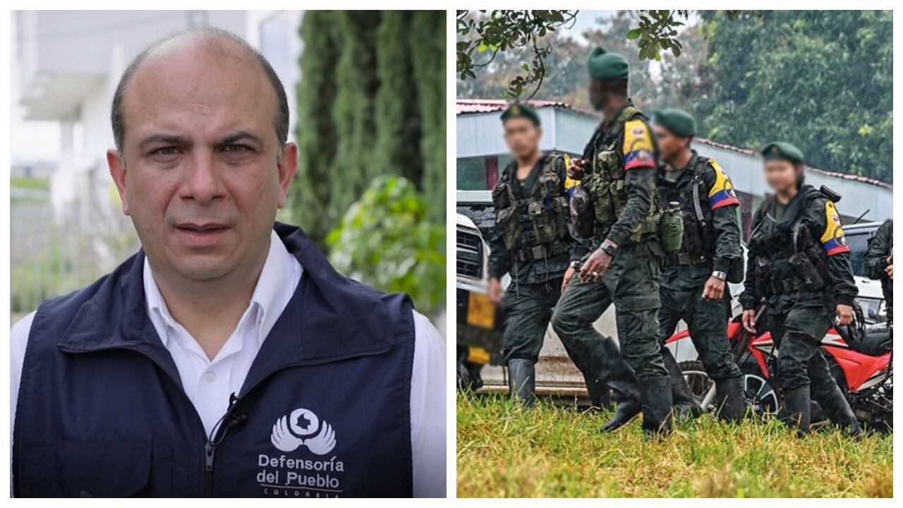 Defensor del Pueblo, Carlos Camargo Assis, y disidencias de las Farc - referencia