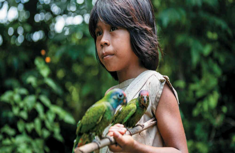 Según el Censo 2018, 115 pueblos indígenas habitan en Colombia.