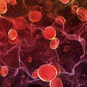 Glóbulos rojos en viajar una arteria