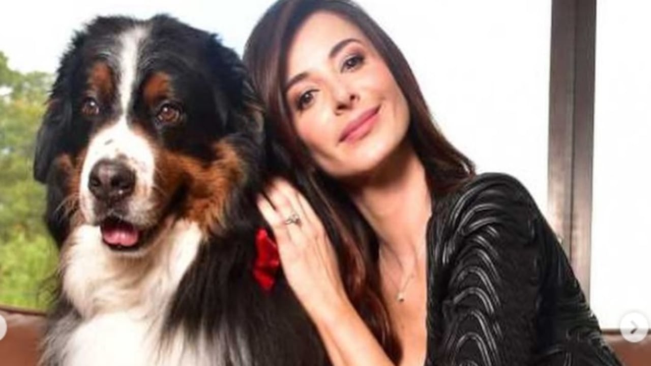 "HASTA SIEMPRE ALMA MÍA
Ahora eres nuestro perrito eterno, Napito. Gracias por darnos el privilegio de ser tu familia. ¡Qué fortuna tuvimos!
Gracias por ser tan valiente y luchar tanto para regalarnos más tiempo a tu lado", dijo Giraldo en su mensaje en Instagram.