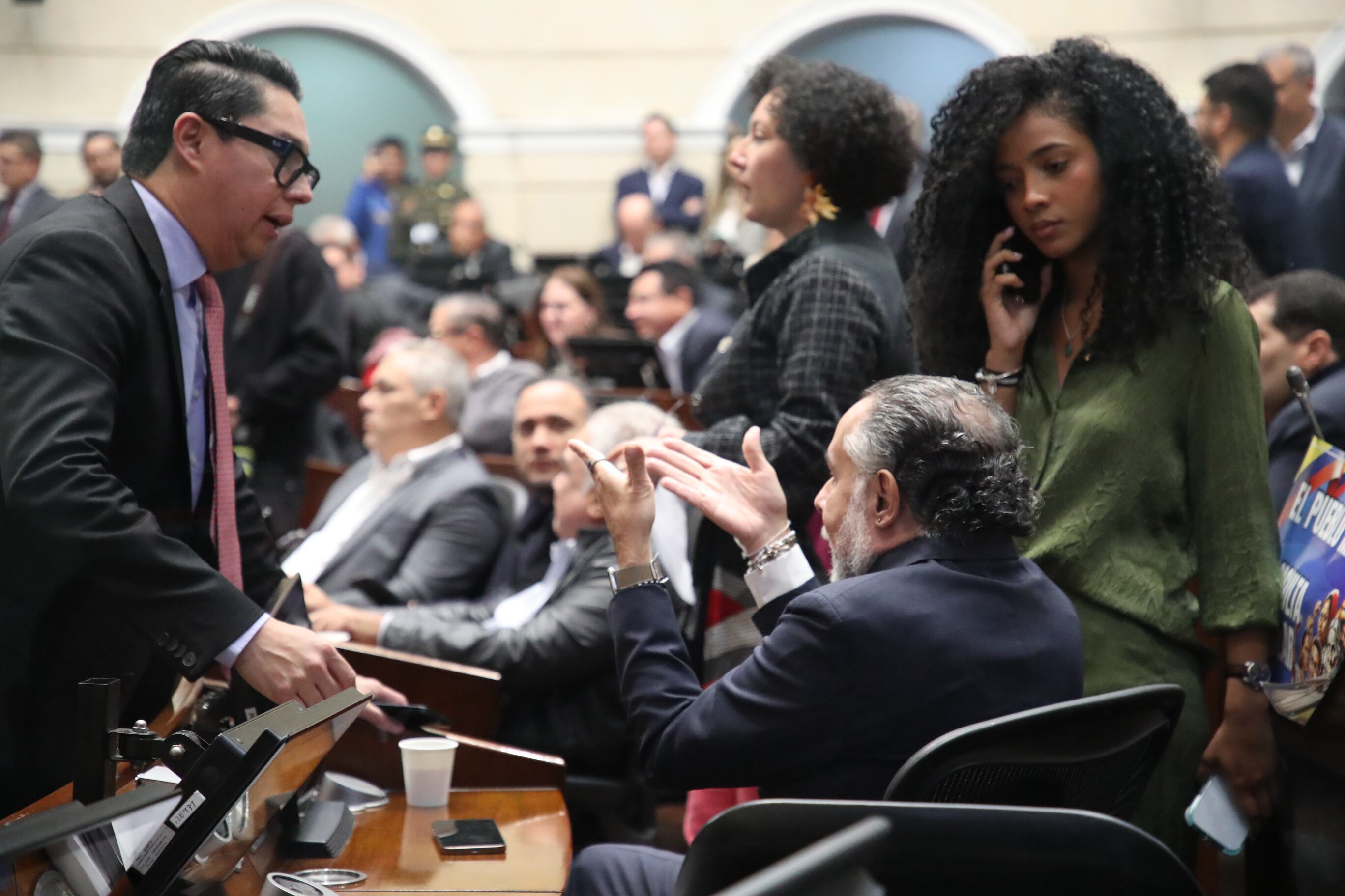 Plenaria Senado, Consulta Popular