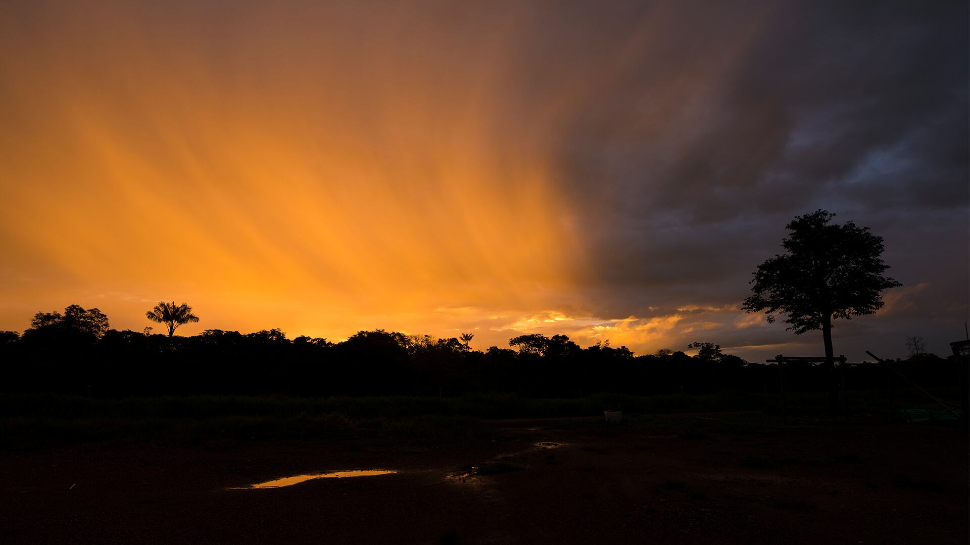 NO USAR, Especial Sostenibilidad, Banco Popular