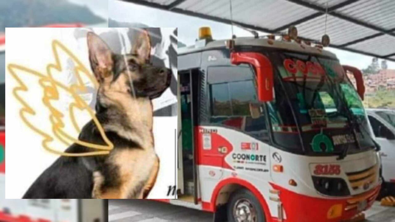 Las autoridades investigan los hechos.