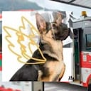 Las autoridades investigan los hechos.