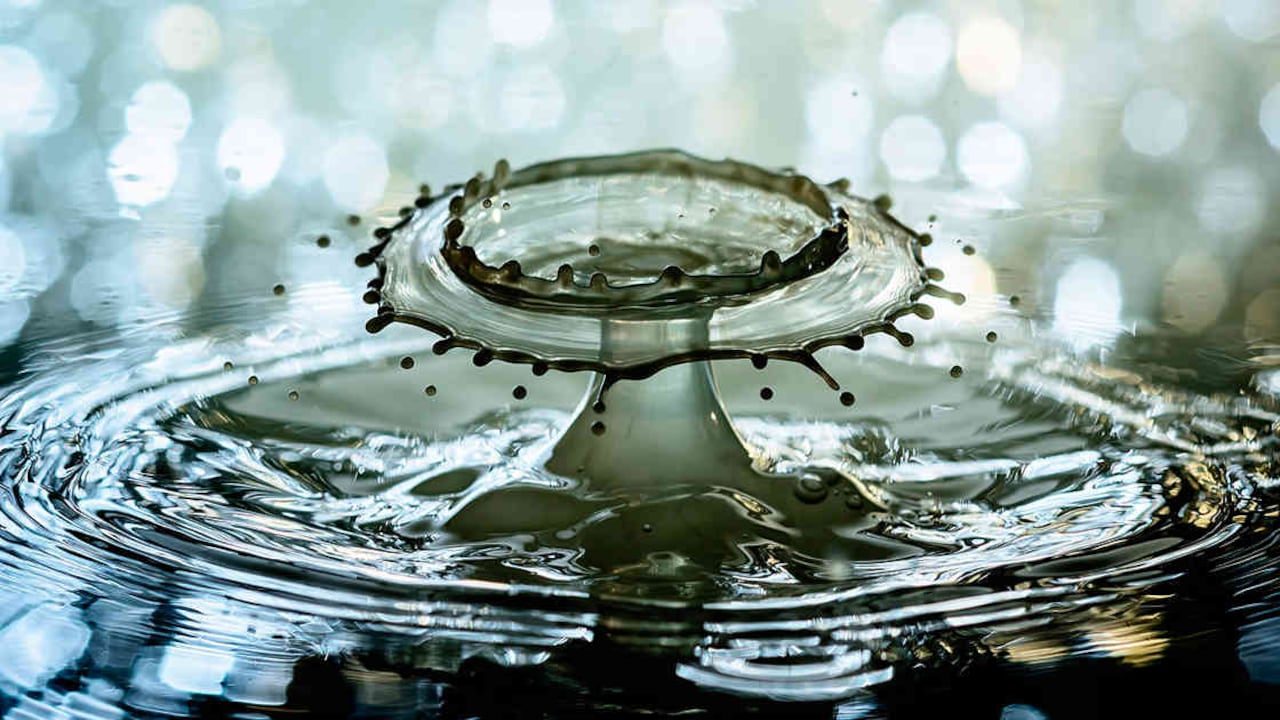 Nestlé comercializa agua de Osceola Township. Los habitantes de la ciudad se enfrentan a la multinacional.