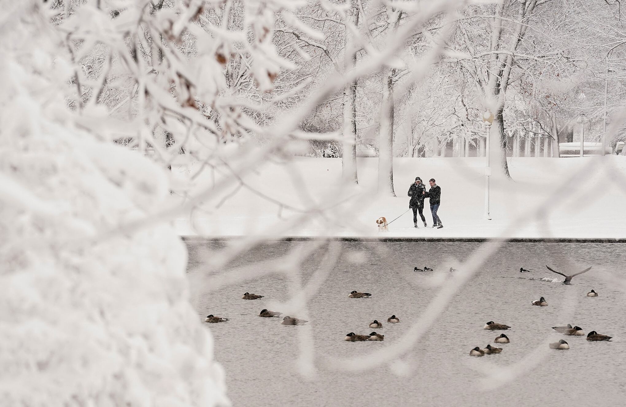 Washington se viste de blanco