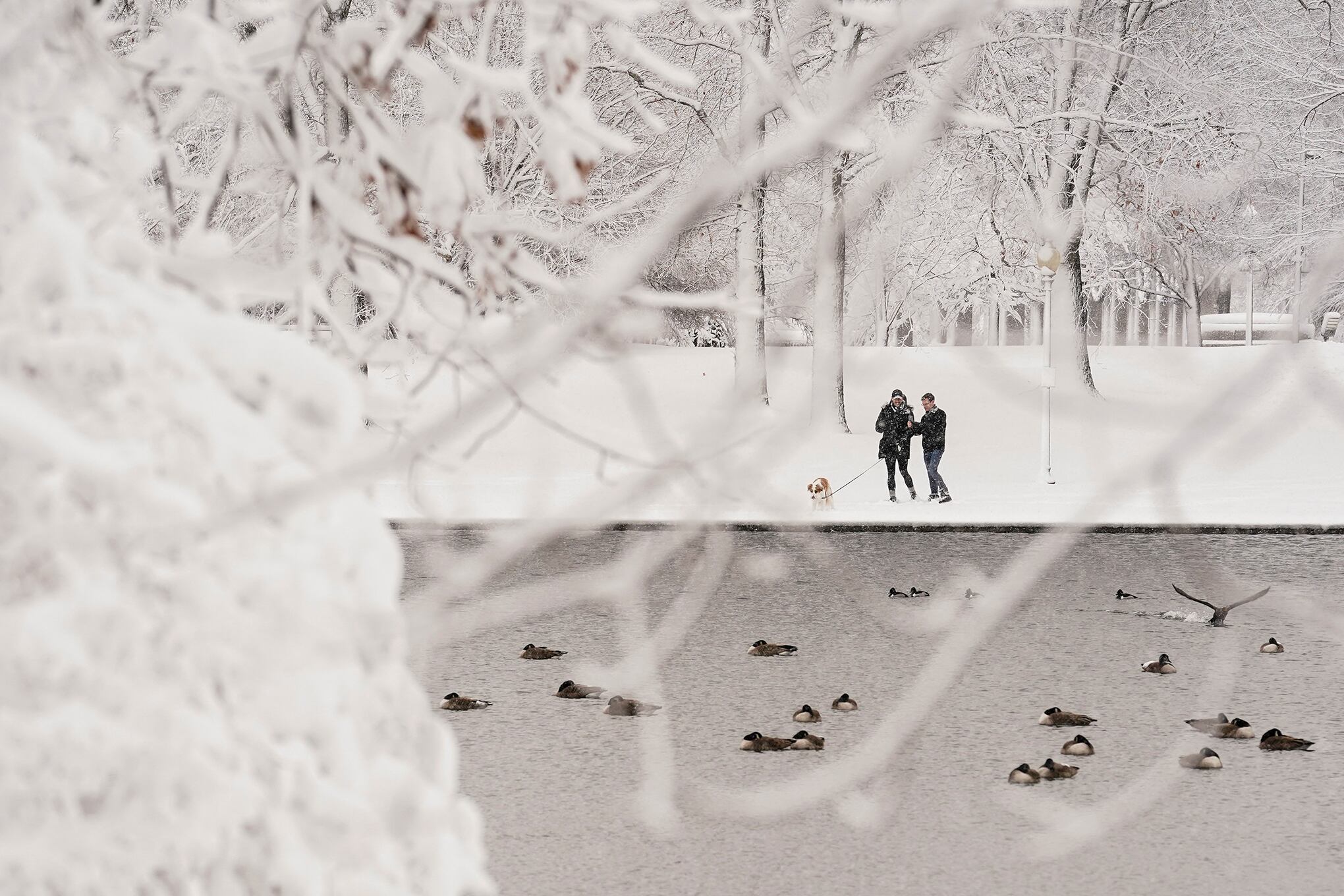 Washington se viste de blanco