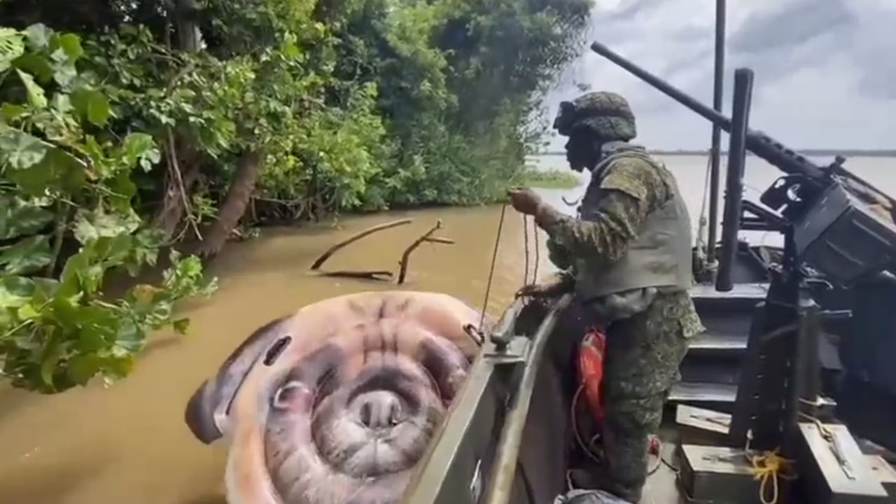 Armada rescata a argentino que estaba a la deriva en aguas del río Atrato