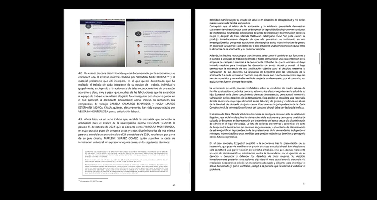 Un informe de Control Risk advertía de los riesgos que representaba Roa por las investigaciones en curso, y su pareja, Julián Caicedo, por su participación en empresas del sector energético.