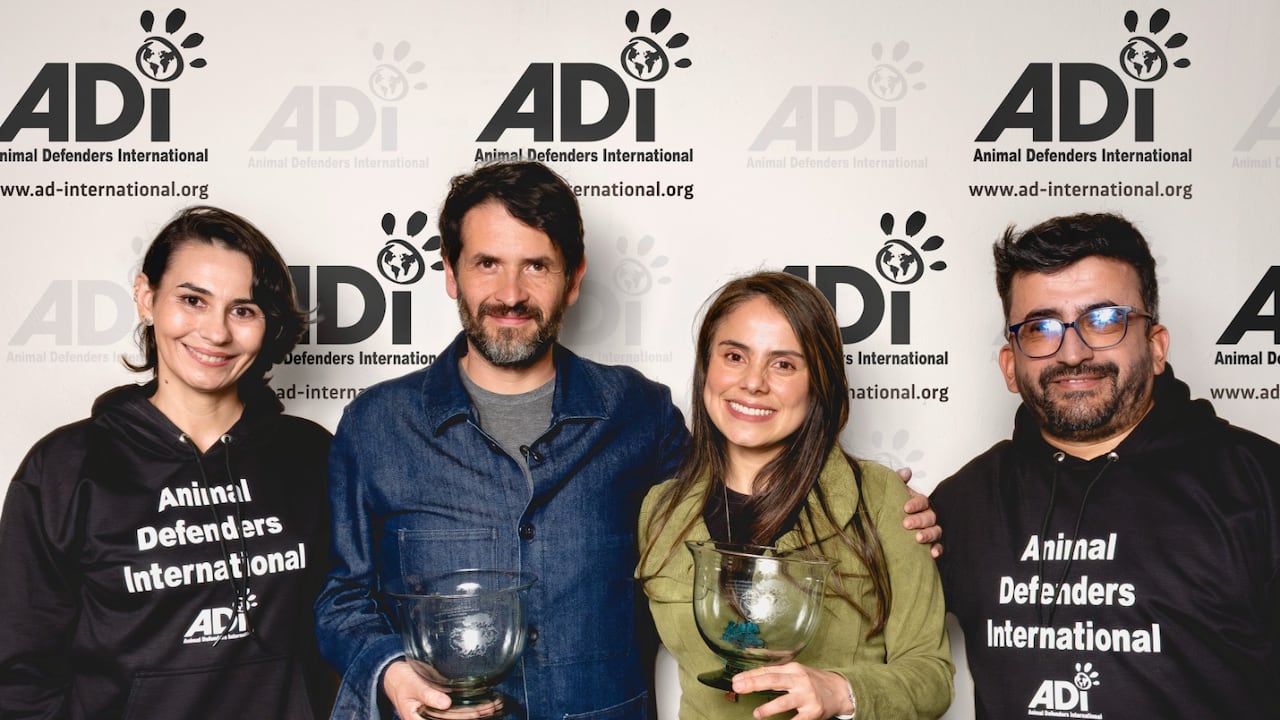 El representante Juan Carlos Losada y la senadora Esmeralda Hernández ganaron el premio internacional de defensa de los animales.