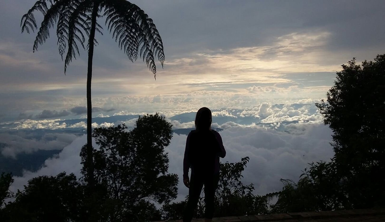 «Es un lugar mágico, muy cerca a Bogotá. Senderos muy bien señalizados, quienes trabajan allí son muy amables», Diana Milena M. (Reseña de TripAdvisor sobre Chicaque)