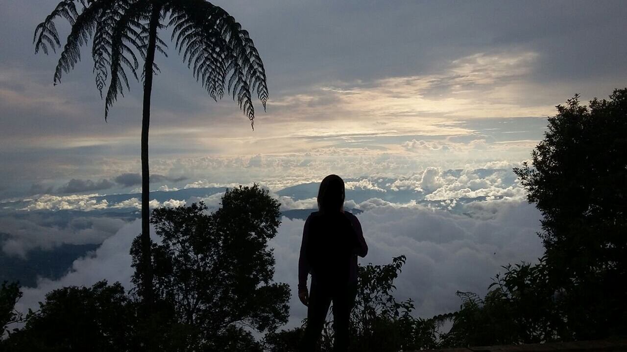 «Es un lugar mágico, muy cerca a Bogotá. Senderos muy bien señalizados, quienes trabajan allí son muy amables», Diana Milena M. (Reseña de TripAdvisor sobre Chicaque)