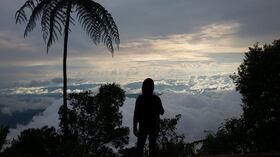 «Es un lugar mágico, muy cerca a Bogotá. Senderos muy bien señalizados, quienes trabajan allí son muy amables», Diana Milena M. (Reseña de TripAdvisor sobre Chicaque)