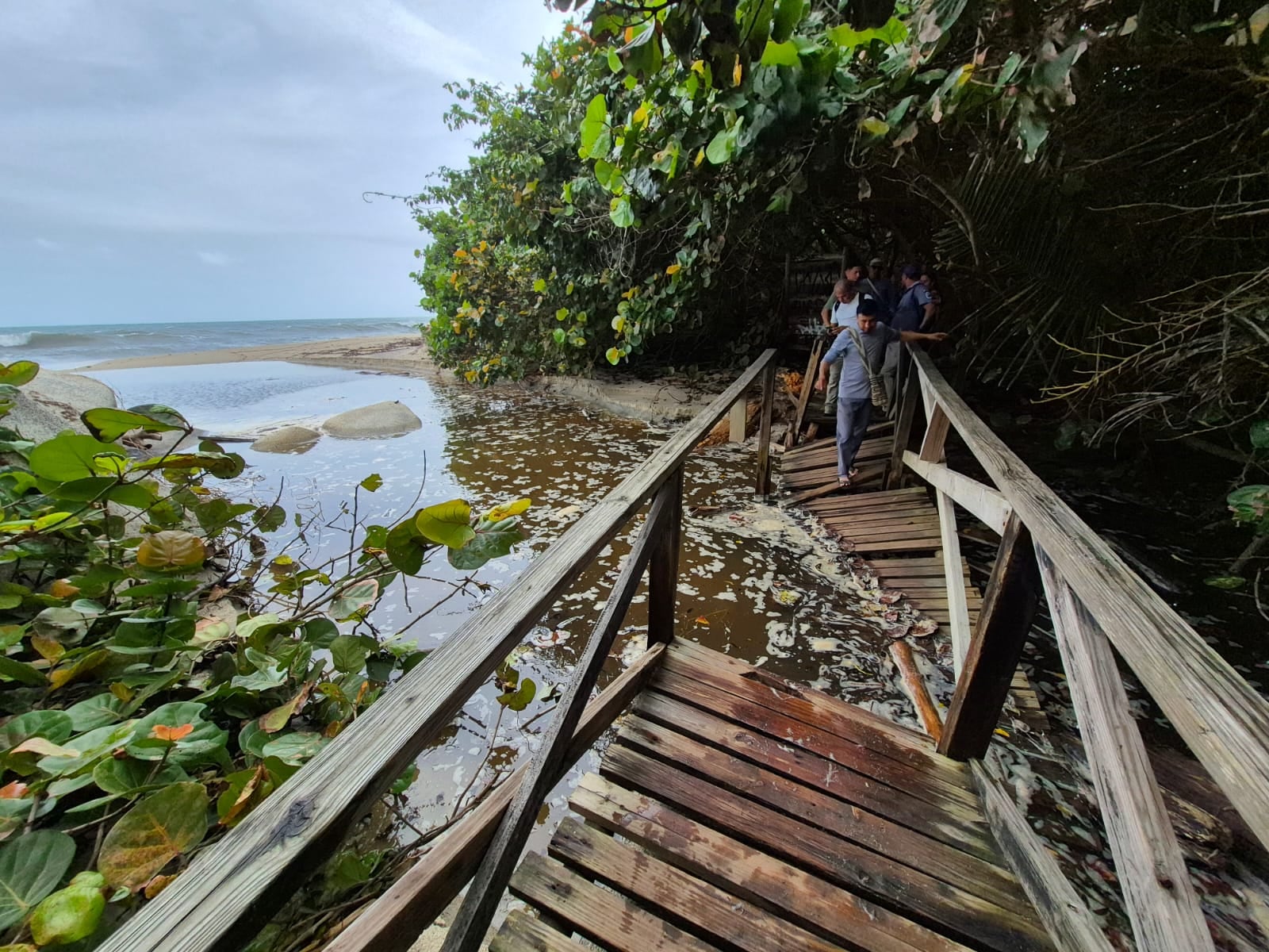 Suspensión temporal del sector Cañaveral en el Parques Nacional Natural Tayrona.