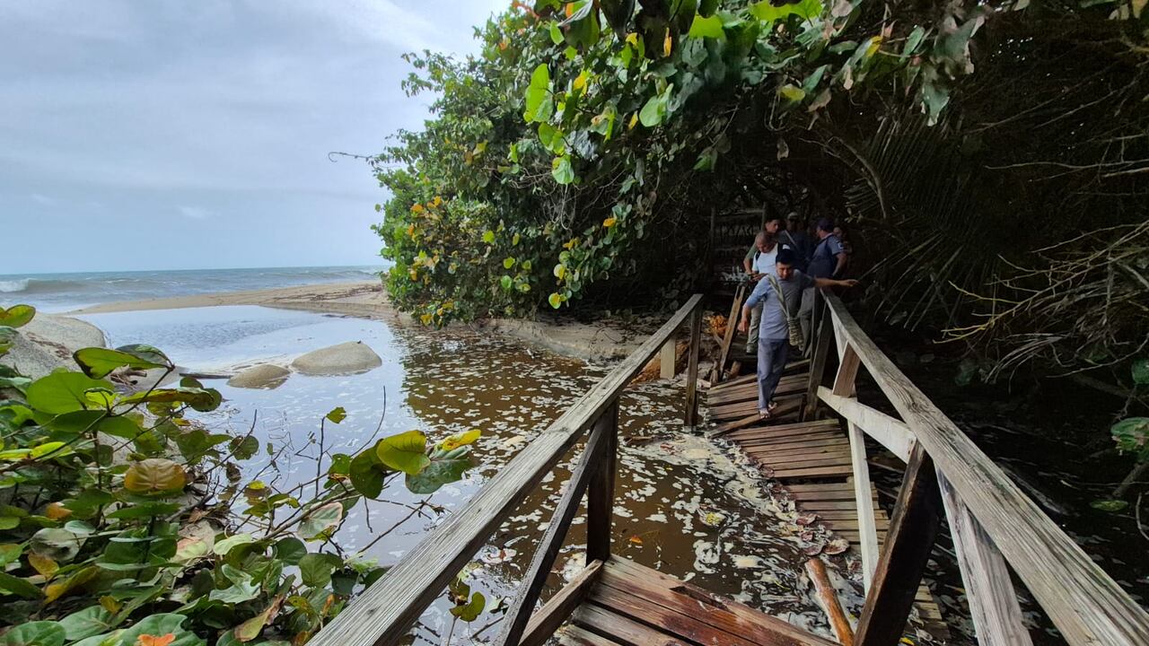 Suspensión temporal del sector Cañaveral en el Parque Nacional Natural Tayrona.