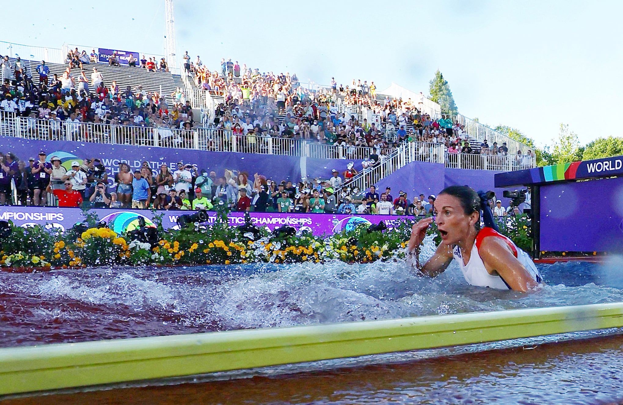 Fotos de la semana 22 julio