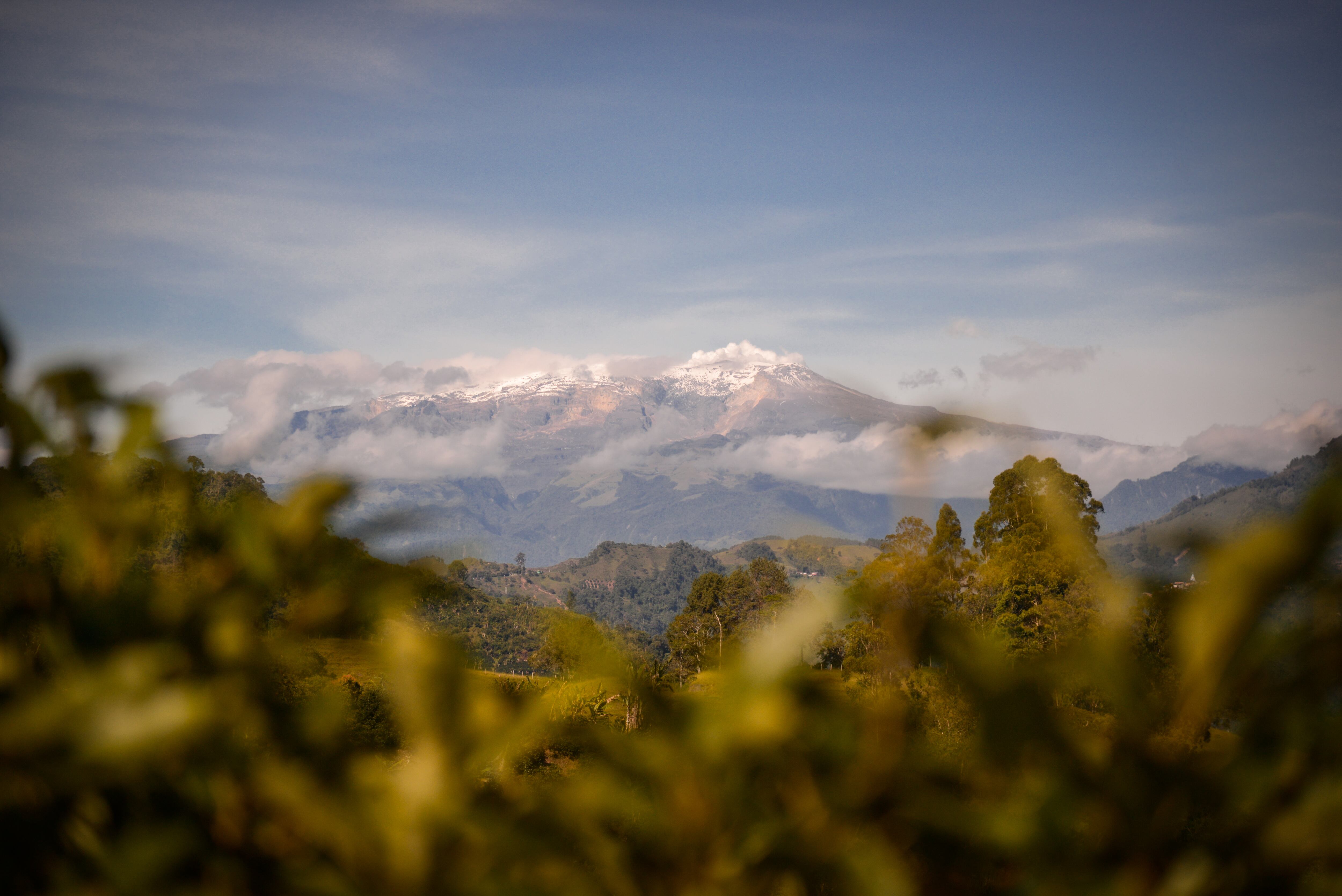 La protección del Complejo de Páramo Los Nevados es otra de sus banderas de Cortolima.