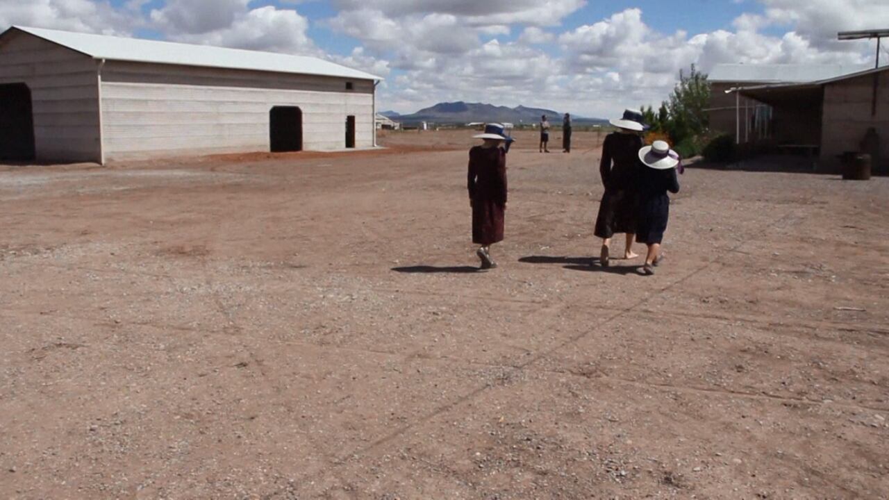 Desde 2019, un centenar de familias menonitas de El Sabinal -casi la mitad- han migrado a Campeche (sur) al ver cómo tendidos eléctricos y autos rompían con su tradicional estilo de vida.