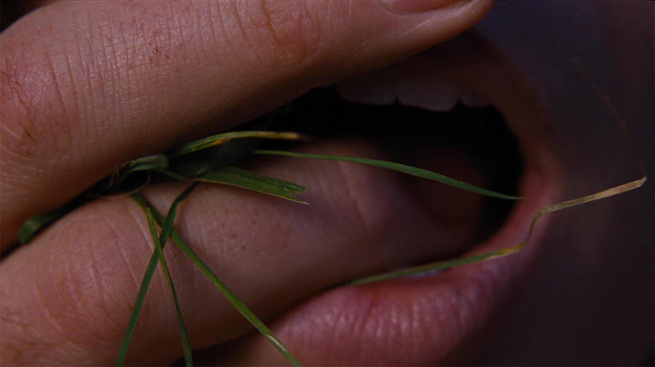 'Cumbres Borrascosas', protagonizada por la nominada al Óscar y al BAFTA Margot Robbie junto al nominado al BAFTA Jacob Elordi.