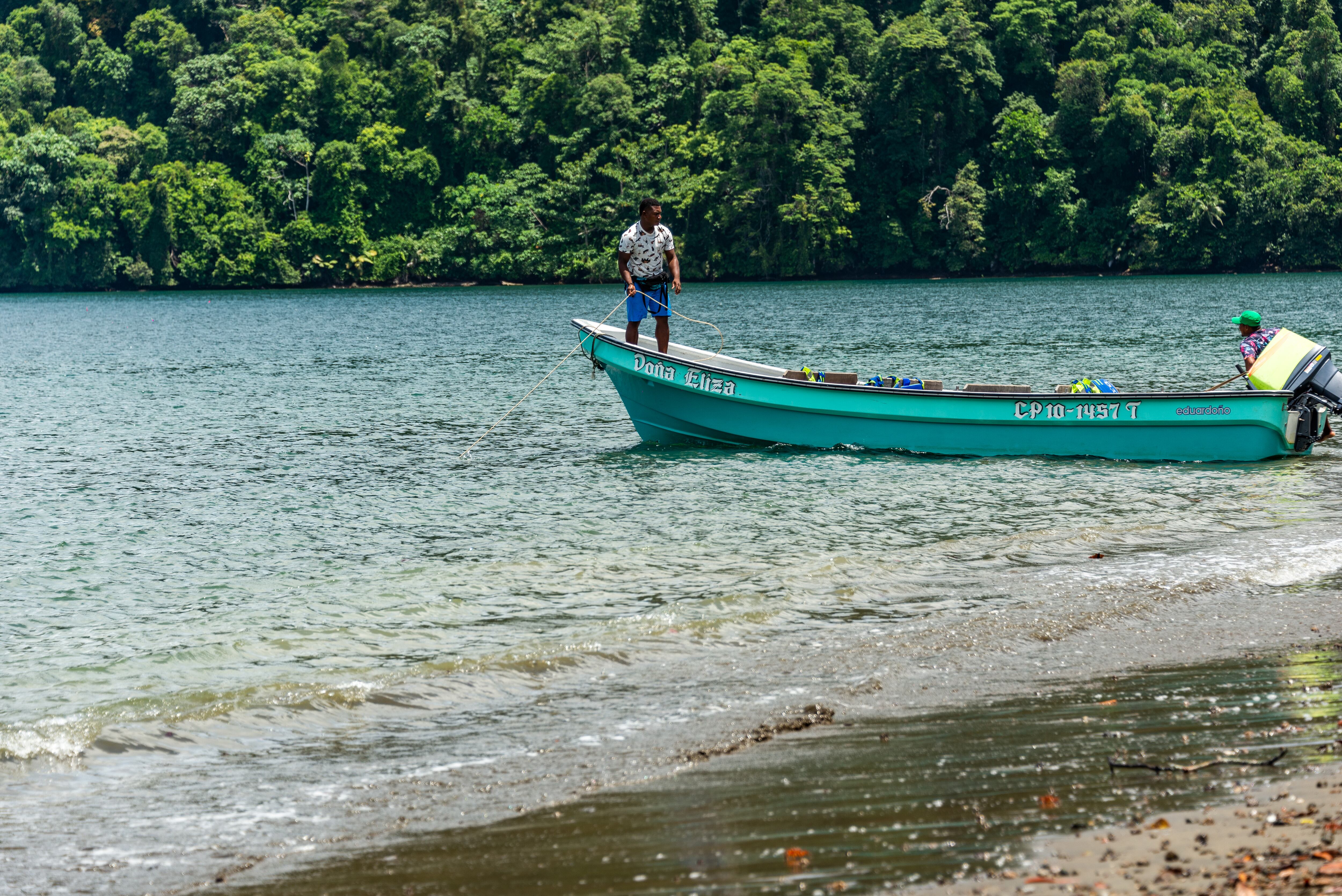 El Parque Nacional Natural Utría es el lugar donde se encuentra la mayor cantidad de tortugas marinas del Pacífico colombiano.