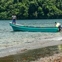 El Parque Nacional Natural Utría es el lugar donde se encuentra la mayor cantidad de tortugas marinas del Pacífico colombiano.