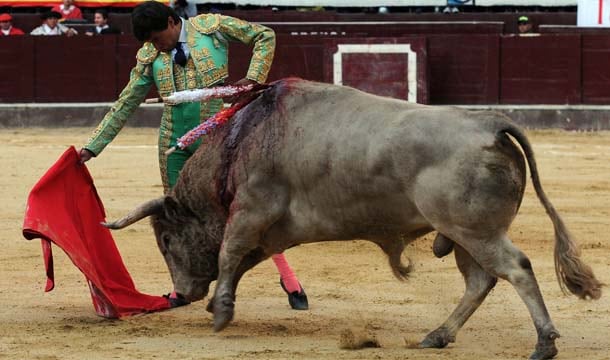 Manuel Libardo, torero de Ubaté, dejó momentos de arte en la corrida de El Paraíso. 