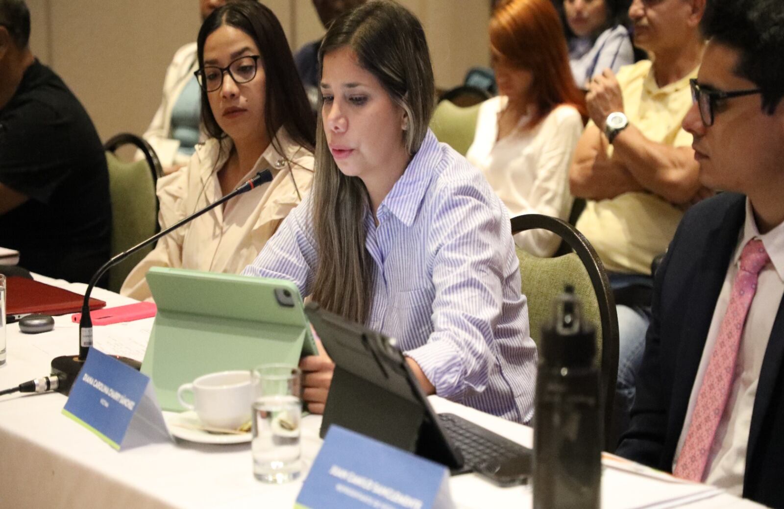 Carolina Charry, hija del diputado Carlos Charry asesinado por las Farc