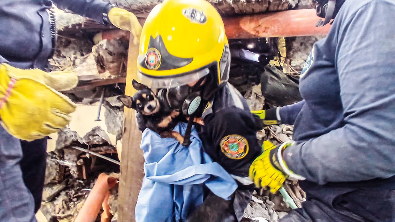 El Servicio Geológico de Estados Unidos (USGS) señala que el sismo en Colombia fue causado principalmente por una “falla de desgarre”.