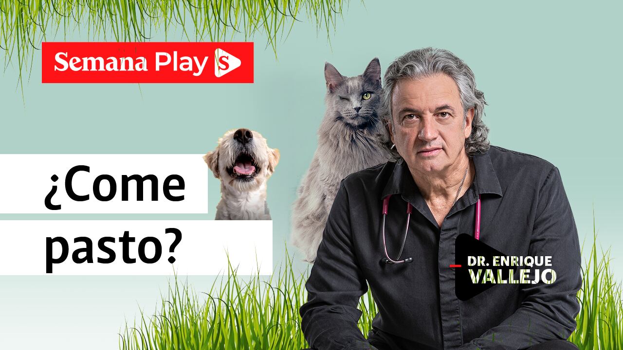 ¿Come pasto? | Enrique Vallejo en Salud Animal