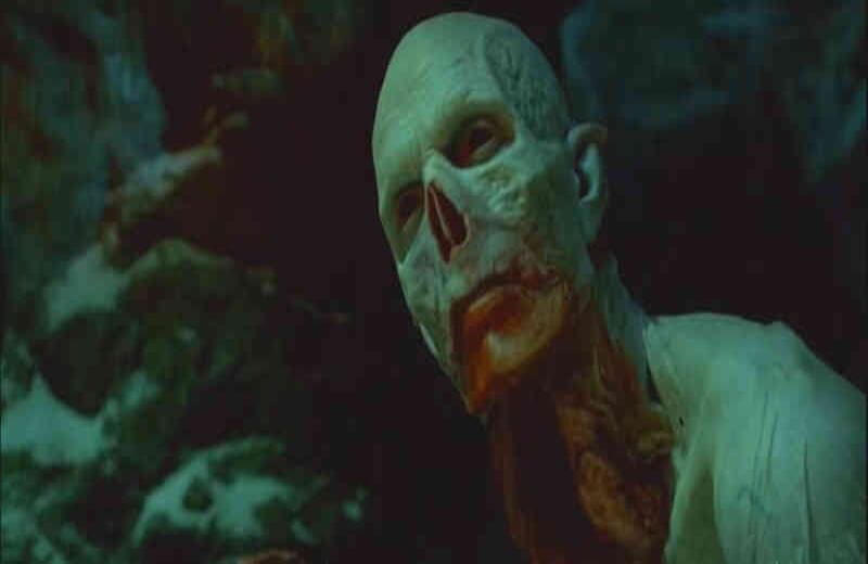 The strain (2014-2017) La serie de televisión se dedica a un virus que llega a Nueva York y transforma a los seres humanos en vampiros. Tienen un cuerpo frágil pero fuerte, colmillos, y un aguijón que sale de una lengua larga y pesada. Del Toro fue uno de los creadores del programa y hasta dirigió dos episodios.