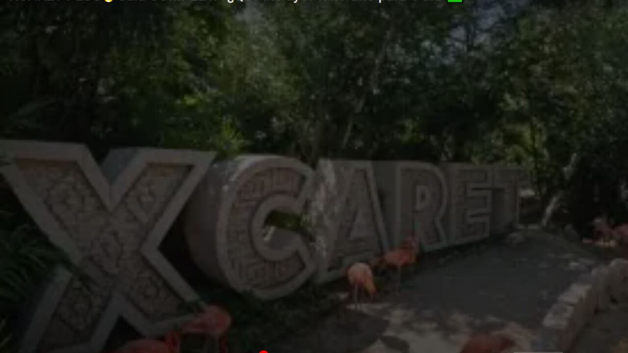 Xcaret México.
Uno de los parques temáticos más grandes del mundo