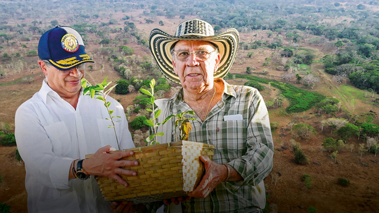 Si bien el Gobierno de Gustavo Petro ha entregado predios a los campesinos, estos aseguran que no han podido acceder a esas tierras.