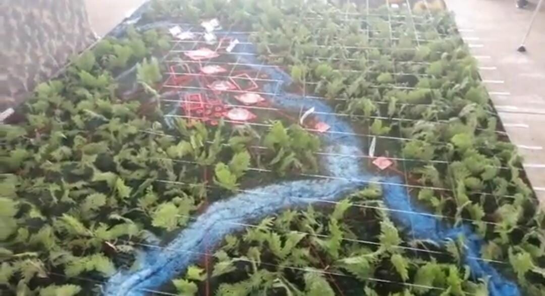 Fuerzas Militares planean las operaciones contra Iván Mordisco y sus hombres tras la suspensión del cese al fuego.