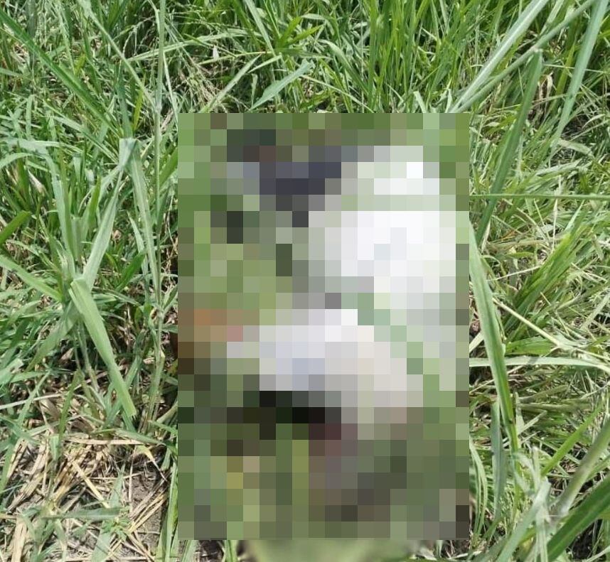 Este cadáver permaneció varios días sobre un costado de una carretera de Timba, al parecer lo arrojaron en este punto del norte del Cauca luego que la víctima terminara ultimada en zona rural de Jamundí.