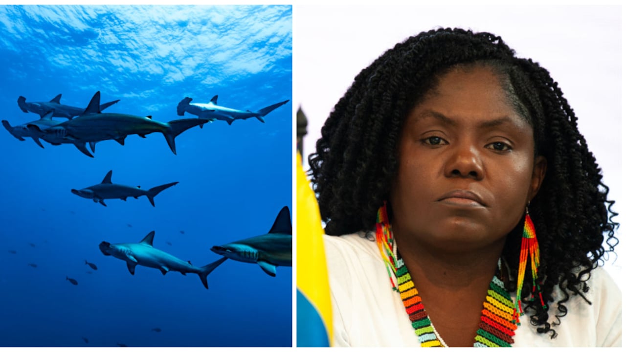 A la izquierda una foto de referencia de pesca y a la derecha la vicepresidenta Francia Márquez